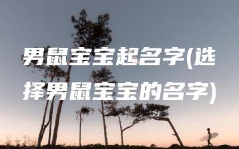 男鼠宝宝起名字(选择男鼠宝宝的名字)