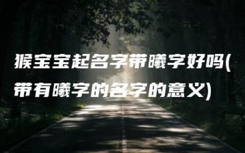 猴宝宝起名字带曦字好吗(带有曦字的名字的意义)