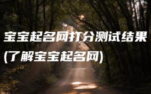 宝宝起名网打分测试结果(了解宝宝起名网)