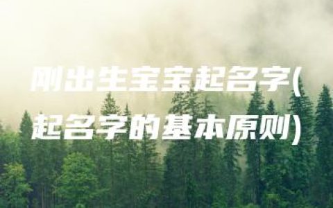 刚出生宝宝起名字(起名字的基本原则)