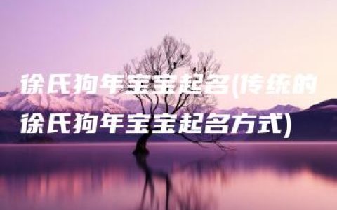 徐氏狗年宝宝起名(传统的徐氏狗年宝宝起名方式)