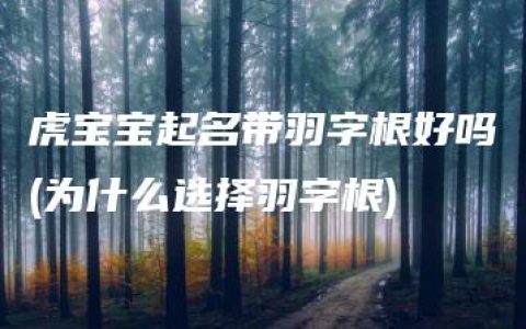 虎宝宝起名带羽字根好吗(为什么选择羽字根)