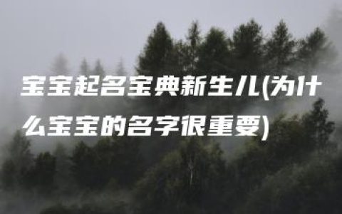 宝宝起名宝典新生儿(为什么宝宝的名字很重要)