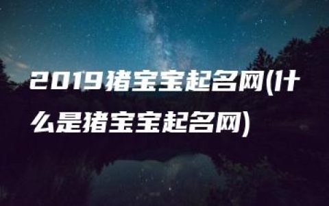 2019猪宝宝起名网(什么是猪宝宝起名网)