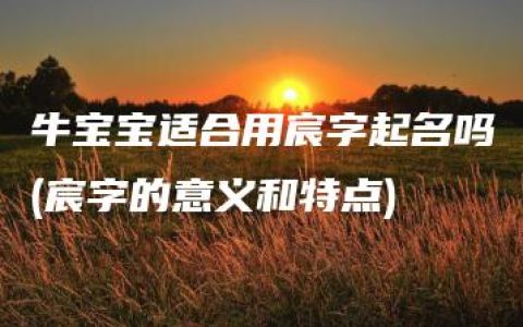 牛宝宝适合用宸字起名吗(宸字的意义和特点)