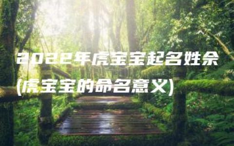 2022年虎宝宝起名姓佘(虎宝宝的命名意义)