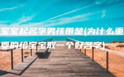 宝宝起名字男孩带楚(为什么重要的给宝宝取一个好名字)