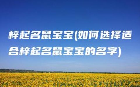 梓起名鼠宝宝(如何选择适合梓起名鼠宝宝的名字)