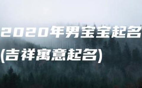 2020年男宝宝起名(吉祥寓意起名)