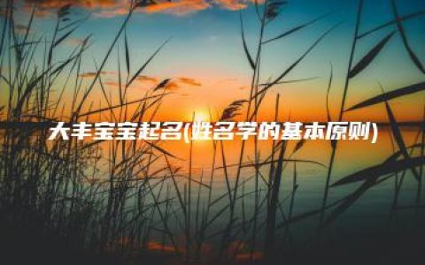 大丰宝宝起名(姓名学的基本原则)