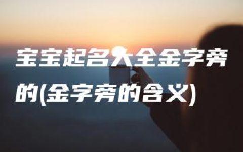 宝宝起名大全金字旁的(金字旁的含义)