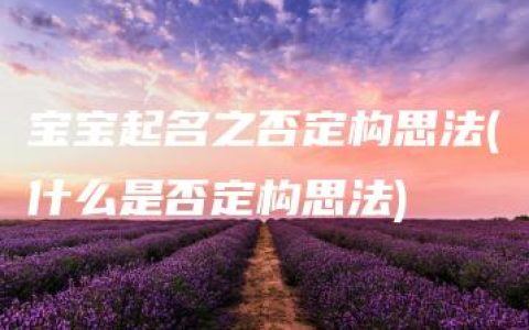 宝宝起名之否定构思法(什么是否定构思法)