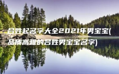 吕姓起名字大全2021年男宝宝(品质高雅的吕姓男宝宝名字)