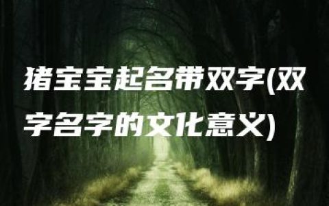 猪宝宝起名带双字(双字名字的文化意义)