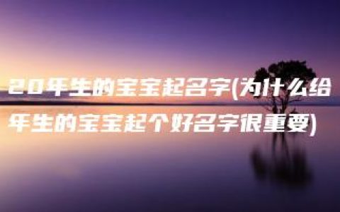 20年生的宝宝起名字(为什么给年生的宝宝起个好名字很重要)