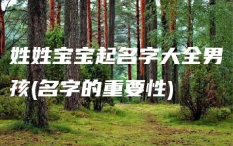 姓姓宝宝起名字大全男孩(名字的重要性)