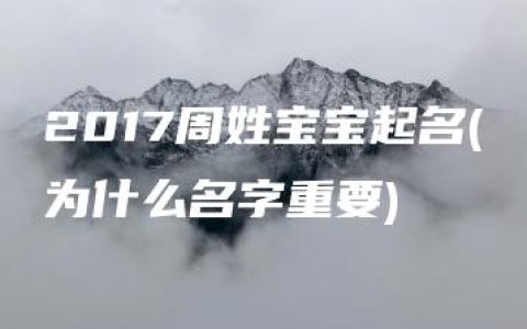 2017周姓宝宝起名(为什么名字重要)