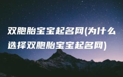 双胞胎宝宝起名网(为什么选择双胞胎宝宝起名网)