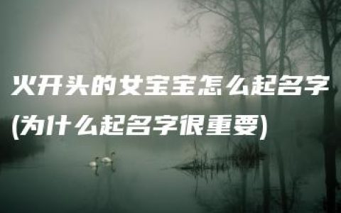 火开头的女宝宝怎么起名字(为什么起名字很重要)