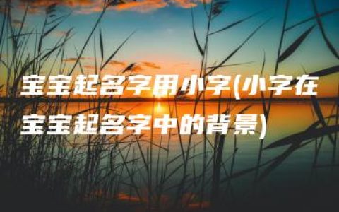 宝宝起名字用小字(小字在宝宝起名字中的背景)