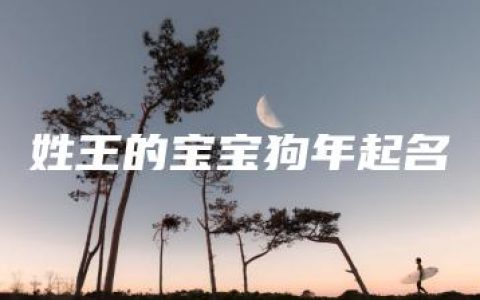 姓王的宝宝狗年起名