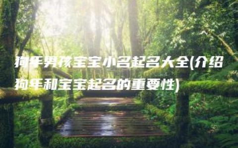 狗年男孩宝宝小名起名大全(介绍狗年和宝宝起名的重要性)