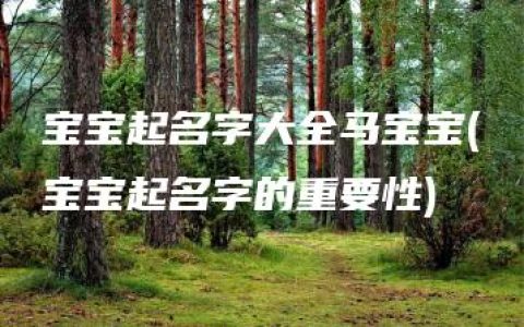 宝宝起名字大全马宝宝(宝宝起名字的重要性)