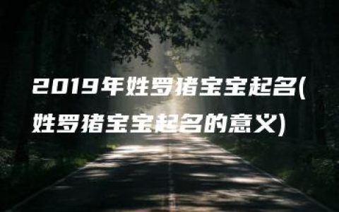 2019年姓罗猪宝宝起名(姓罗猪宝宝起名的意义)