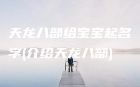 天龙八部给宝宝起名字(介绍天龙八部)