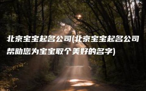 北京宝宝起名公司(北京宝宝起名公司帮助您为宝宝取个美好的名字)