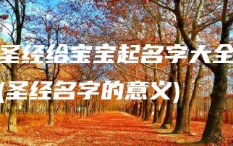 圣经给宝宝起名字大全(圣经名字的意义)