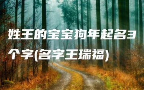 姓王的宝宝狗年起名3个字(名字王瑞福)