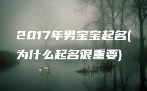 2017年男宝宝起名(为什么起名很重要)