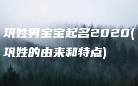 巩姓男宝宝起名2020(巩姓的由来和特点)