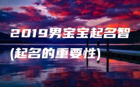 2019男宝宝起名智(起名的重要性)