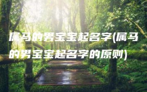 属马的男宝宝起名字(属马的男宝宝起名字的原则)