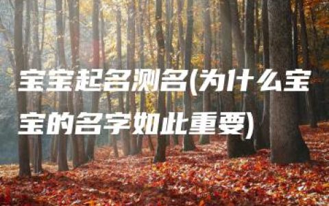 宝宝起名测名(为什么宝宝的名字如此重要)