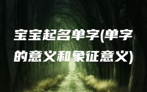 宝宝起名单字(单字的意义和象征意义)