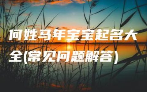 何姓马年宝宝起名大全(常见问题解答)