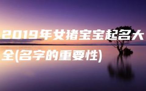 2019年女猪宝宝起名大全(名字的重要性)