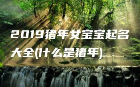 2019猪年女宝宝起名大全(什么是猪年)