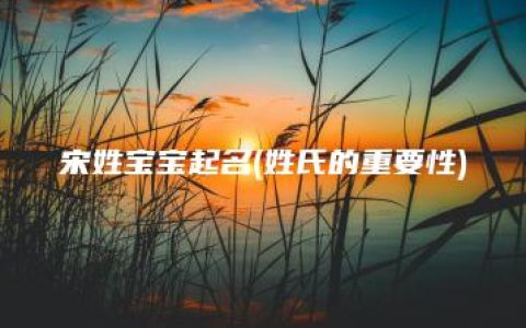 宋姓宝宝起名(姓氏的重要性)