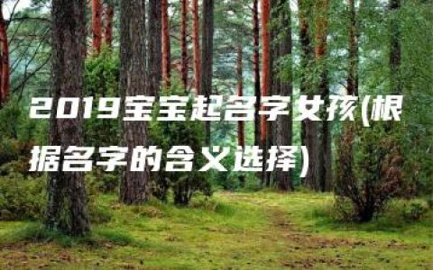 2019宝宝起名字女孩(根据名字的含义选择)