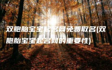 双胞胎宝宝起名网免费取名(双胞胎宝宝起名网的重要性)