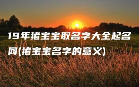 19年猪宝宝取名字大全起名网(猪宝宝名字的意义)