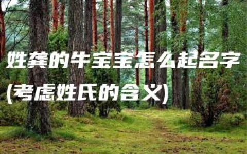 姓龚的牛宝宝怎么起名字(考虑姓氏的含义)