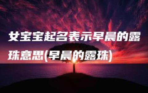 女宝宝起名表示早晨的露珠意思(早晨的露珠)