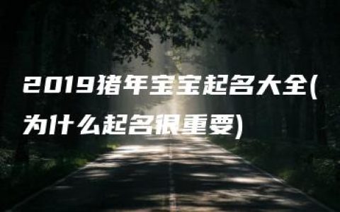 2019猪年宝宝起名大全(为什么起名很重要)