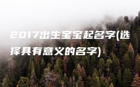 2017出生宝宝起名字(选择具有意义的名字)