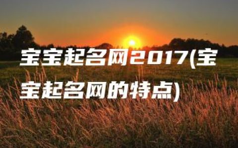 宝宝起名网2017(宝宝起名网的特点)